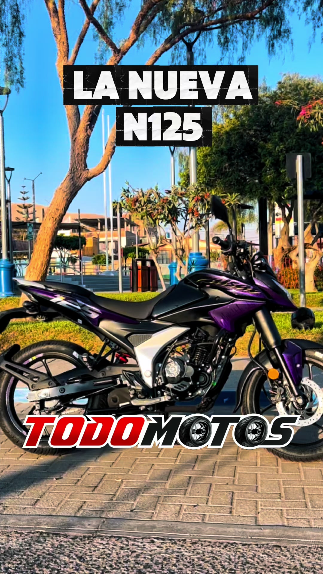 @TODOMOTOSEIRLOFICIAL