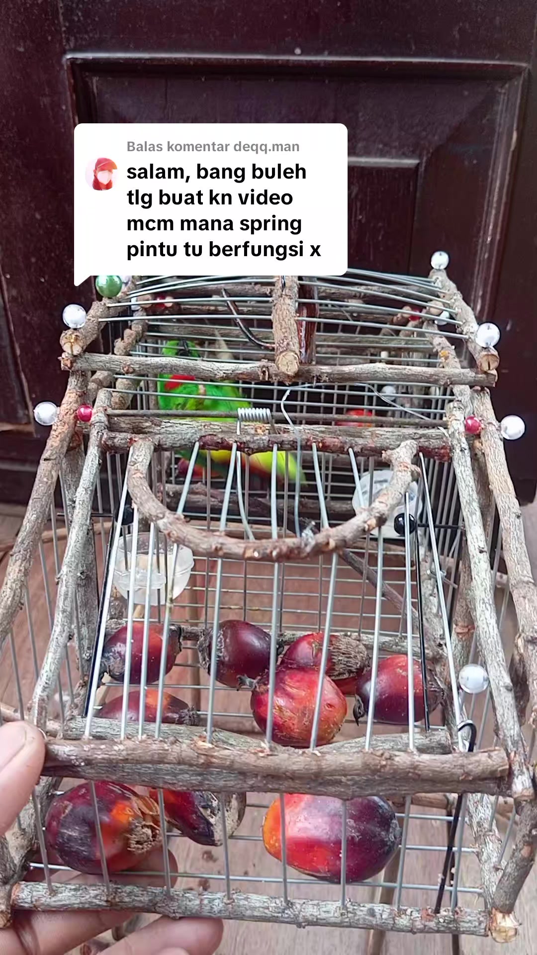 @Srindit kaltara 🦜