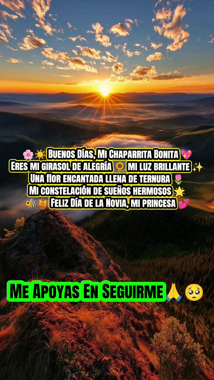 @🌹✨SoyAngelChamaléOficial🌹✨
