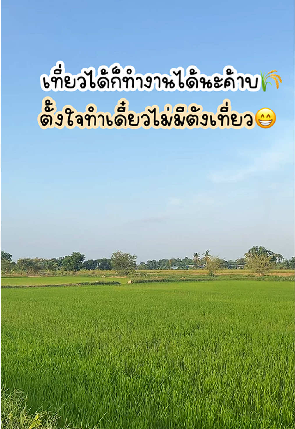@Chu 🪼(ชุ)