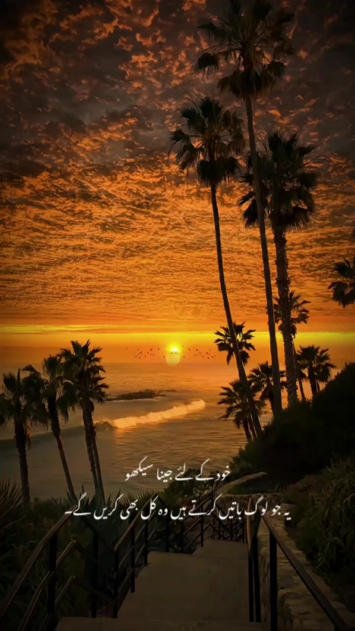 @Amina Arshad