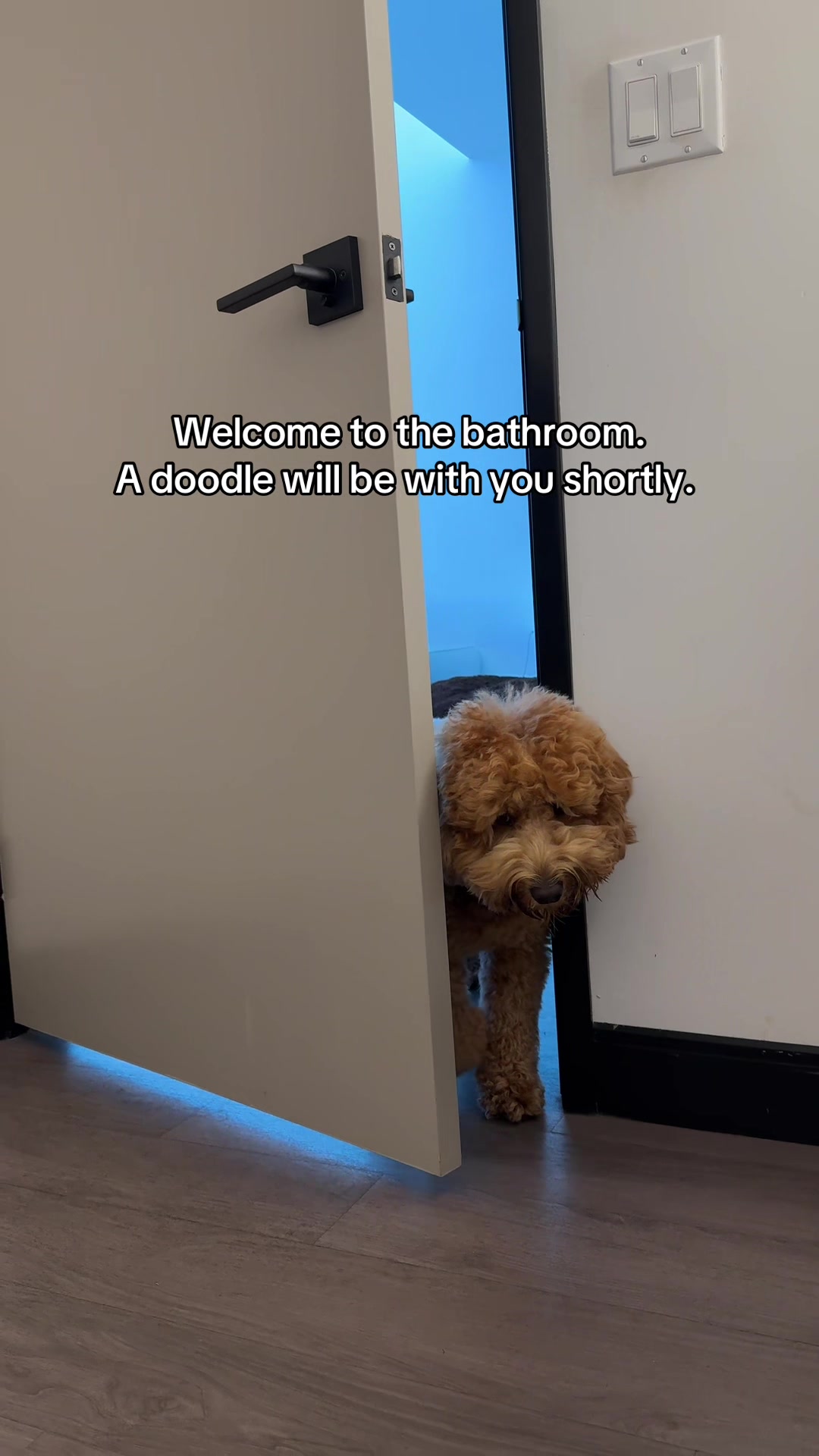 @Teddy 🐾