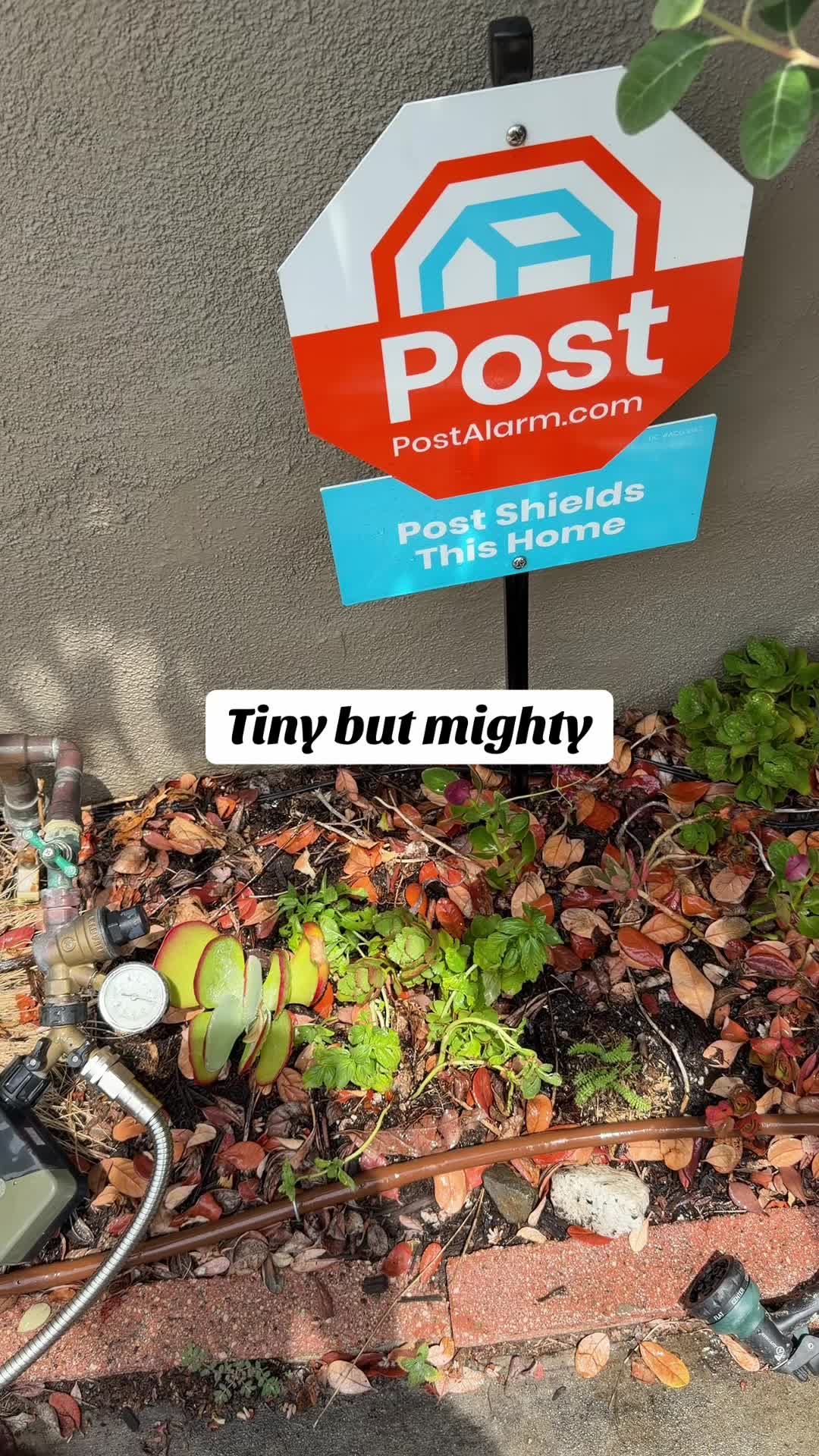 @FancyPlantsLA