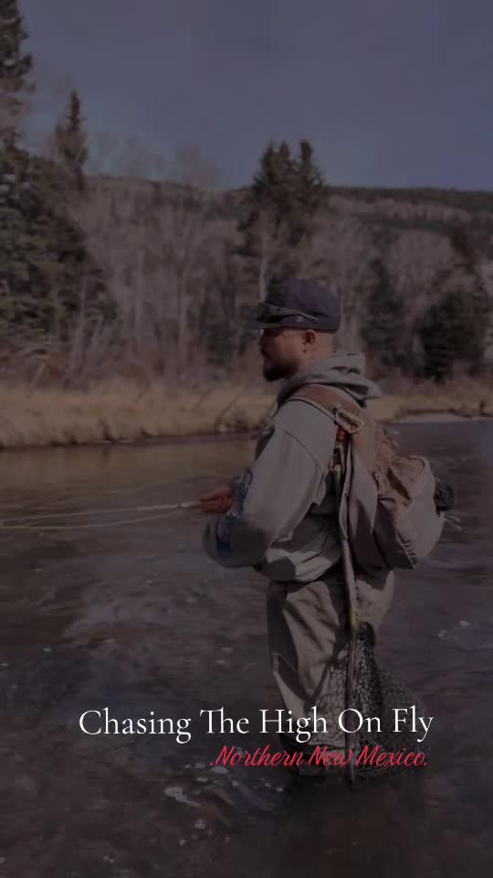 @ChasingTheHighOnFly.NM