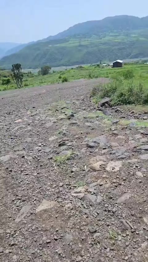 @▤➾ ሀዪ ያባሰሏ 🦅🦋