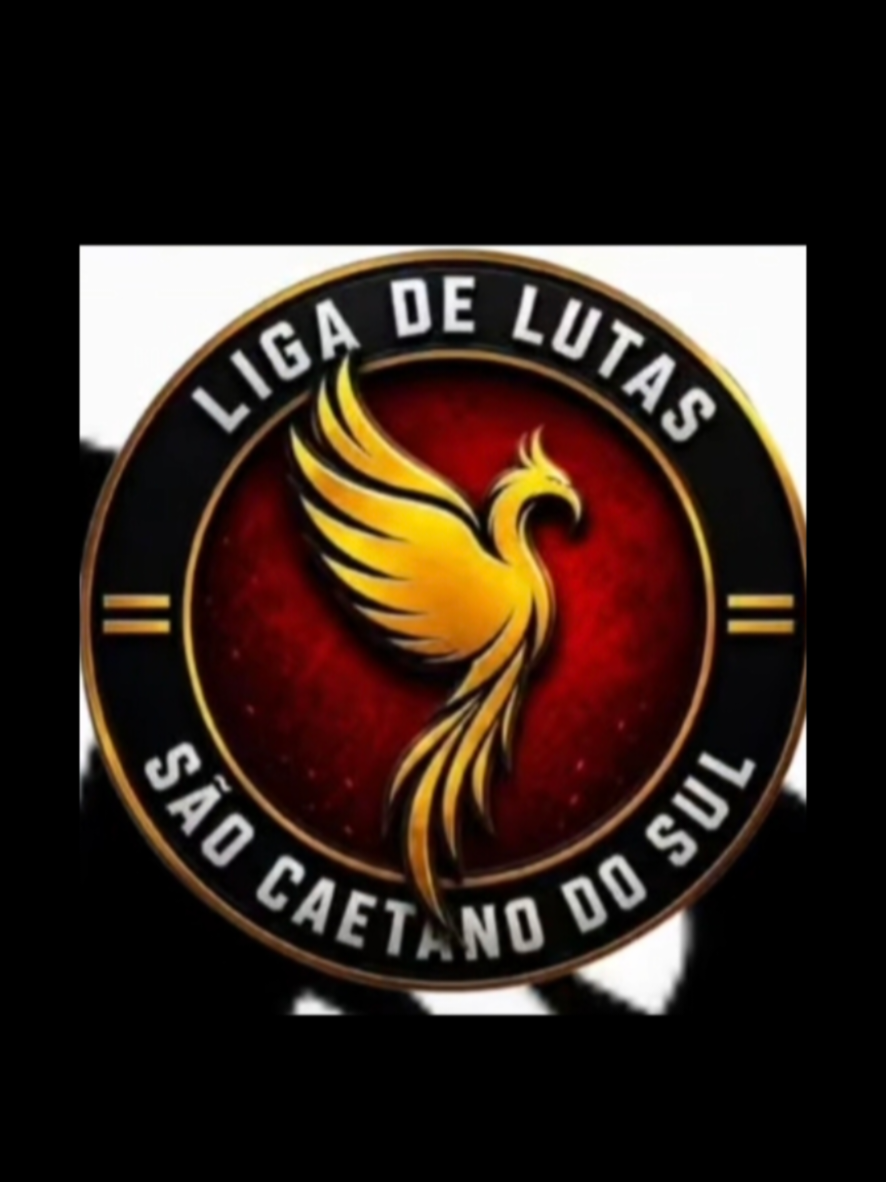 @SERGIO SILVA JR