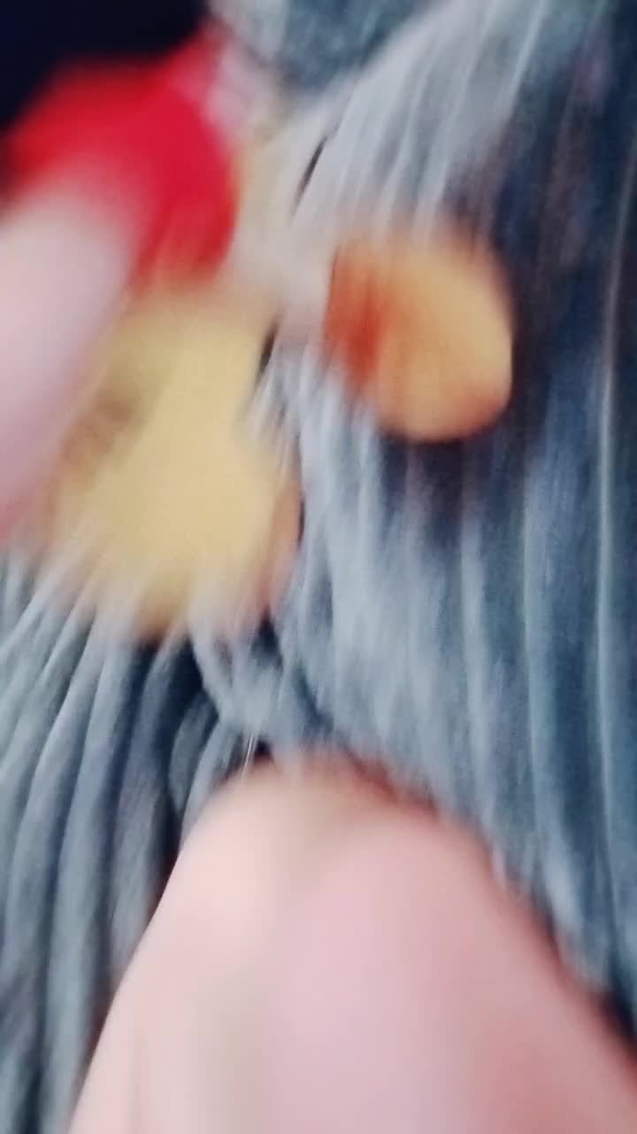 @Cuphead144