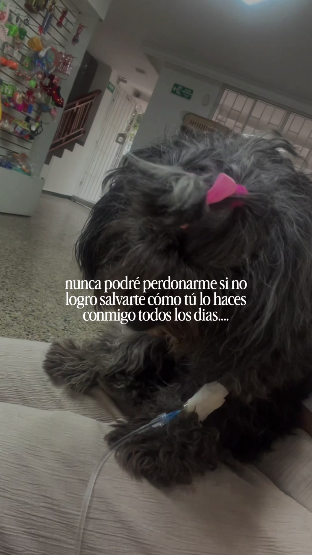 @𝙈𝙀𝘿𝙐𝙎𝘼