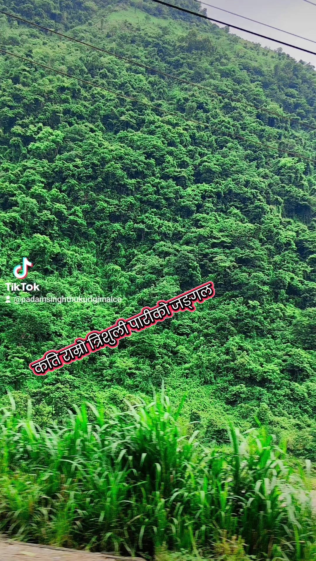@आमाको कान्छो छोरा ठकुरी राजा💋