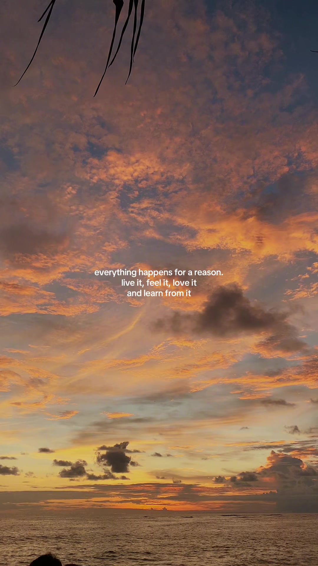 @I’m Syrena | Ig belleviesysy