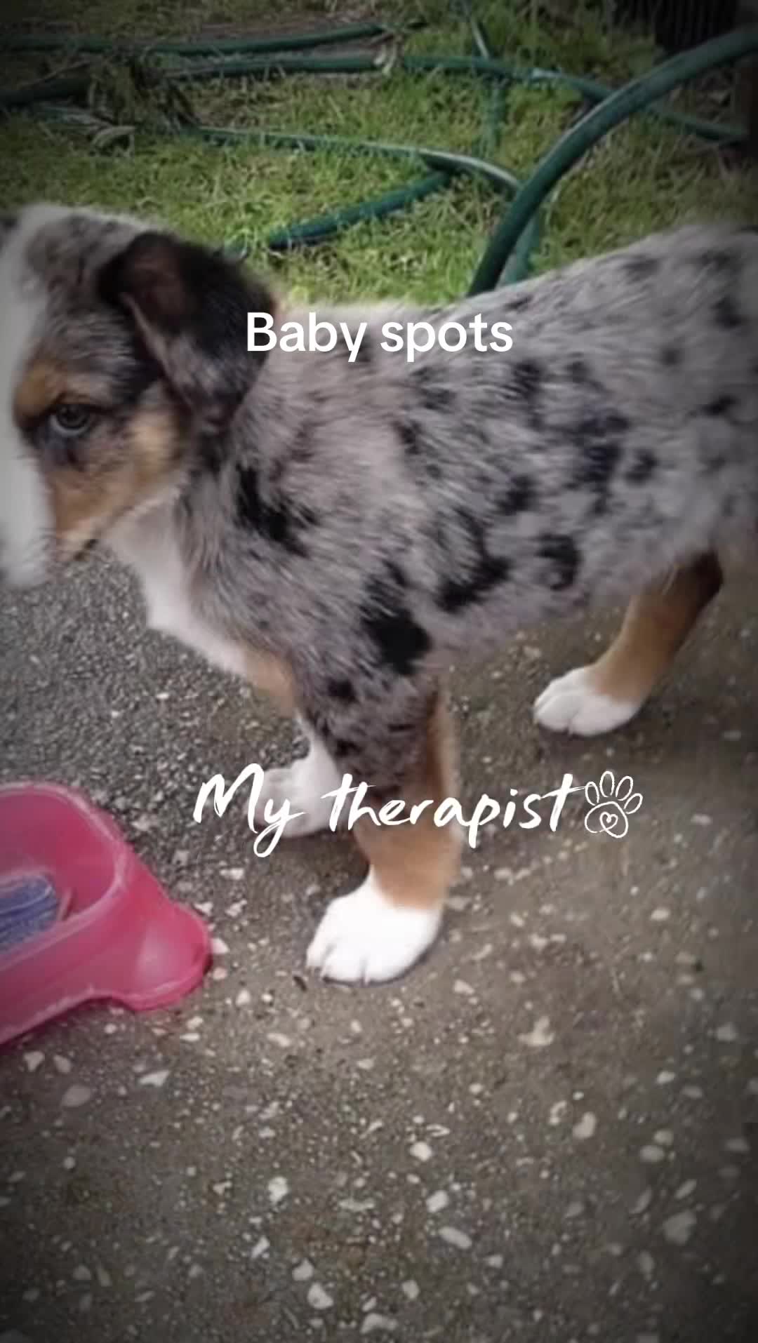 @niecywhat