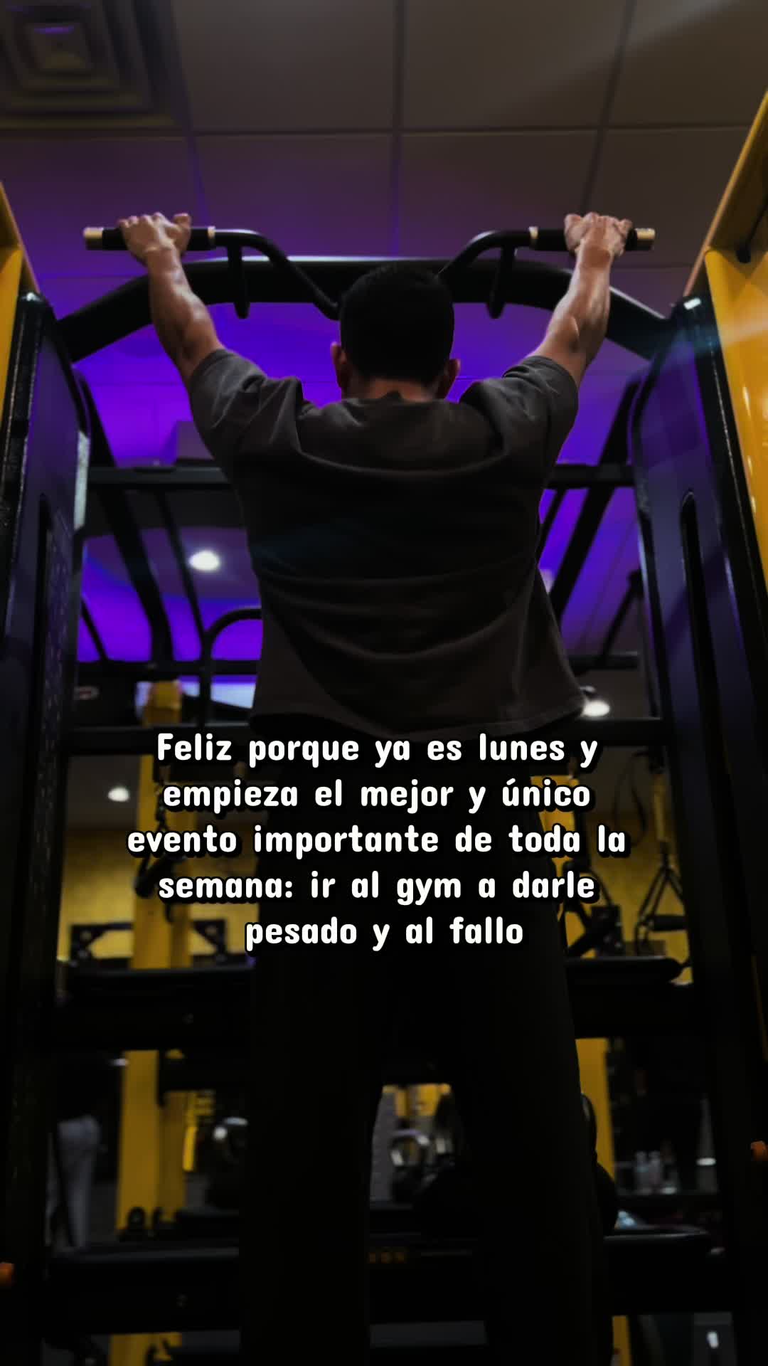 @El gallo