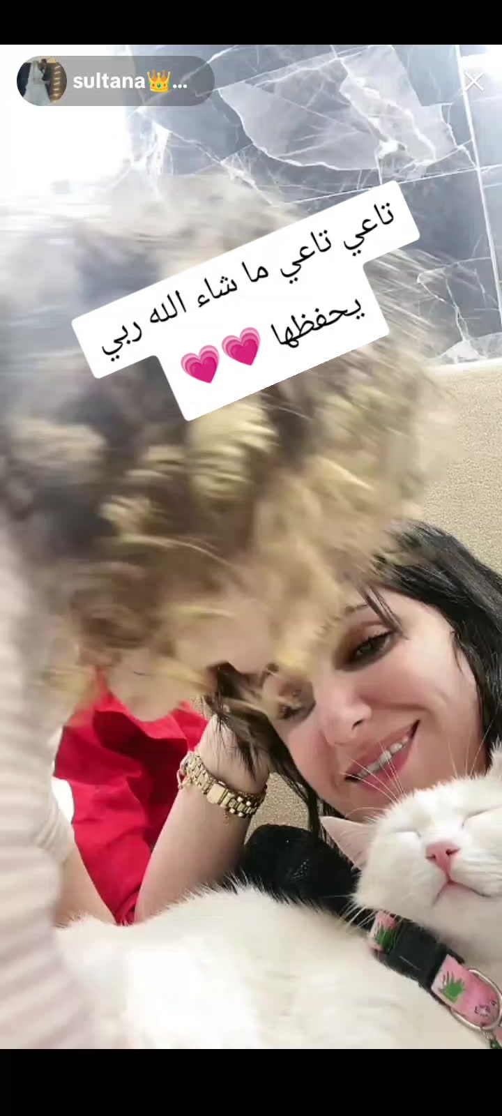 @👑Sultana cherine fans✨_wiwi👑