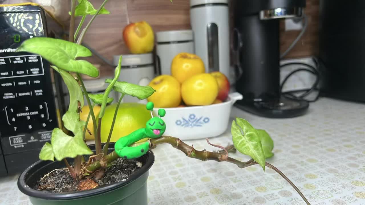 @kidsstopmotion6
