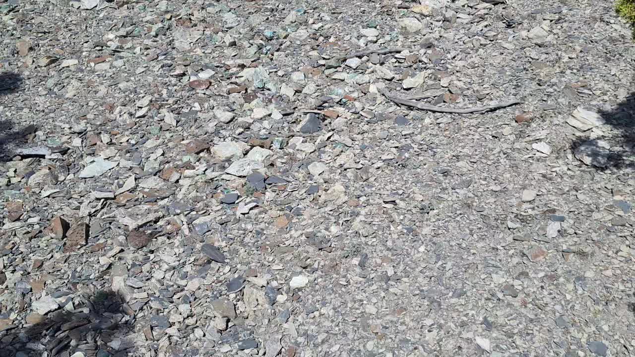 @Nevada HIGHDesert