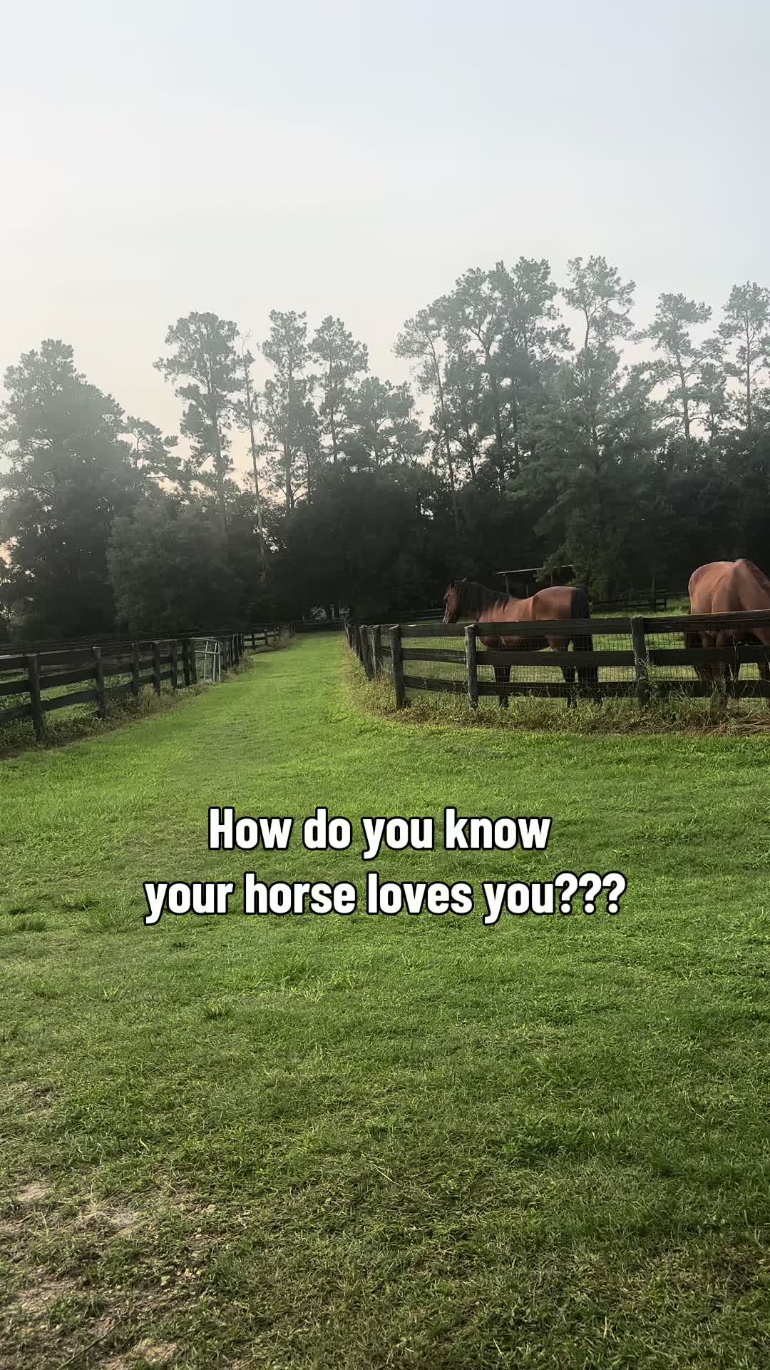 @itiswellstables