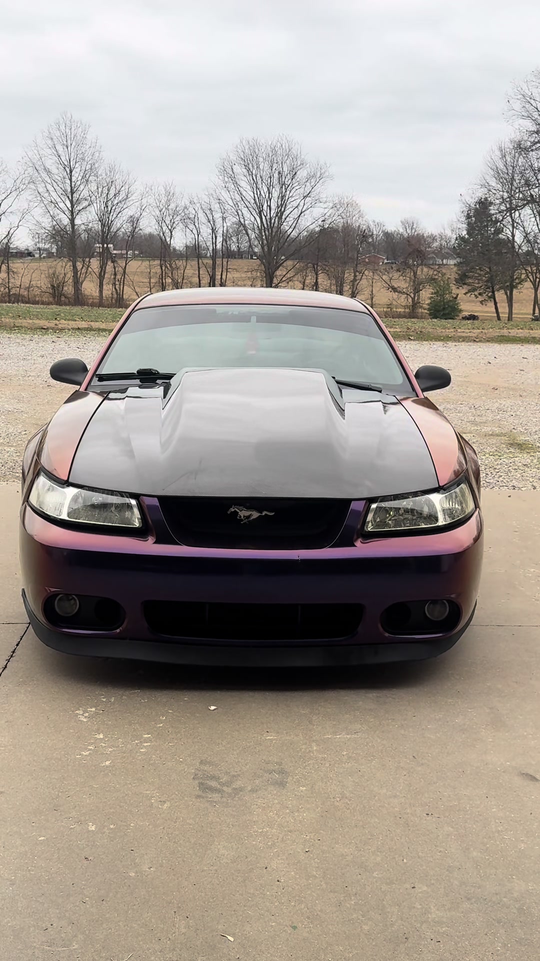@Midnightpurp2v