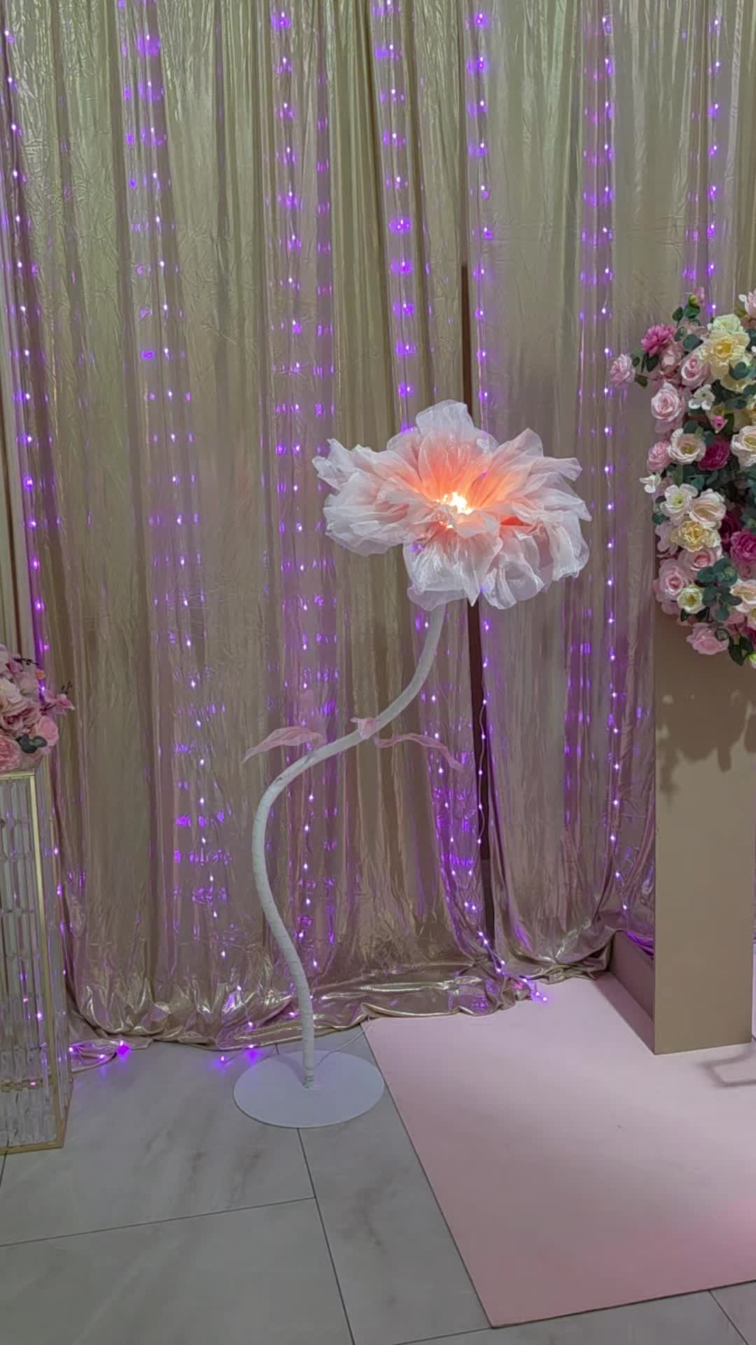 @BALLOONS DECOR D