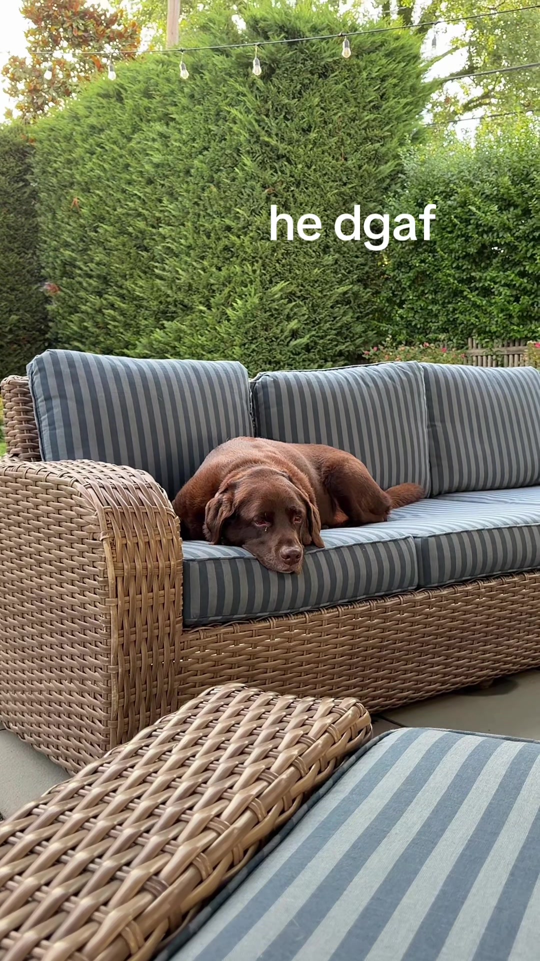 @ry