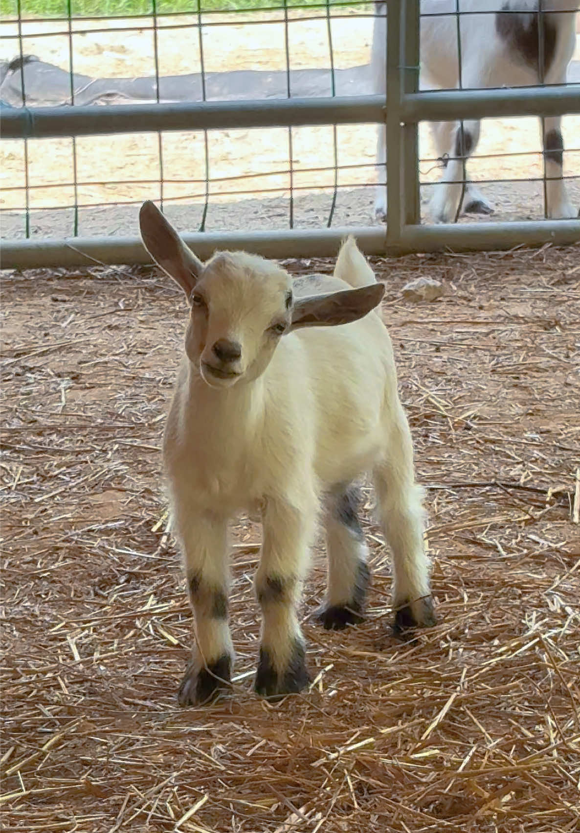 @Densmore Ranch