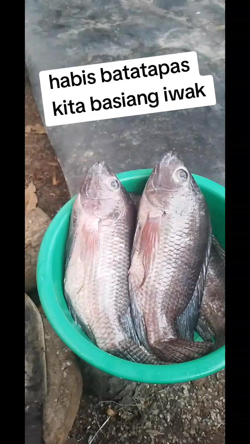 @icuy761