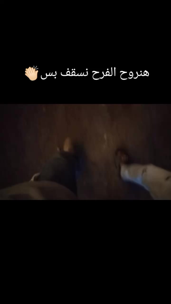 @عمر عجيبه$