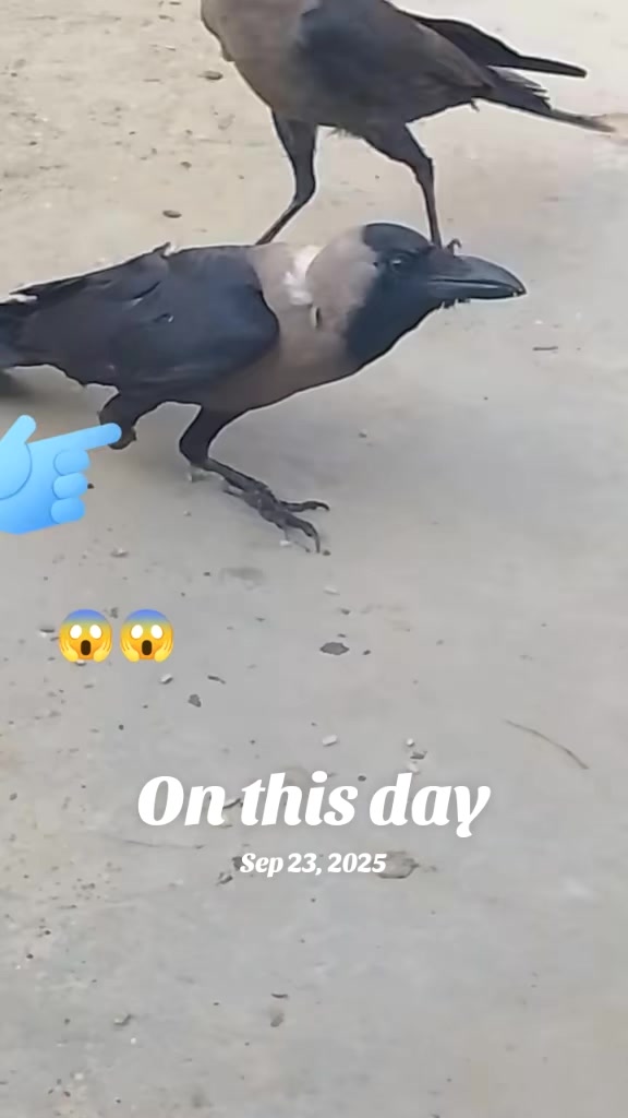 @Hari paswan