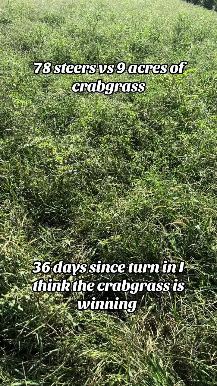 @lostgrassfarmer