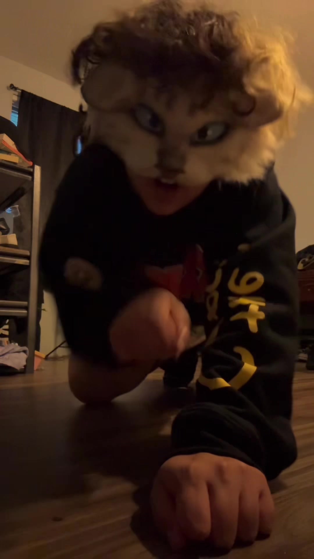 @collieollieboy