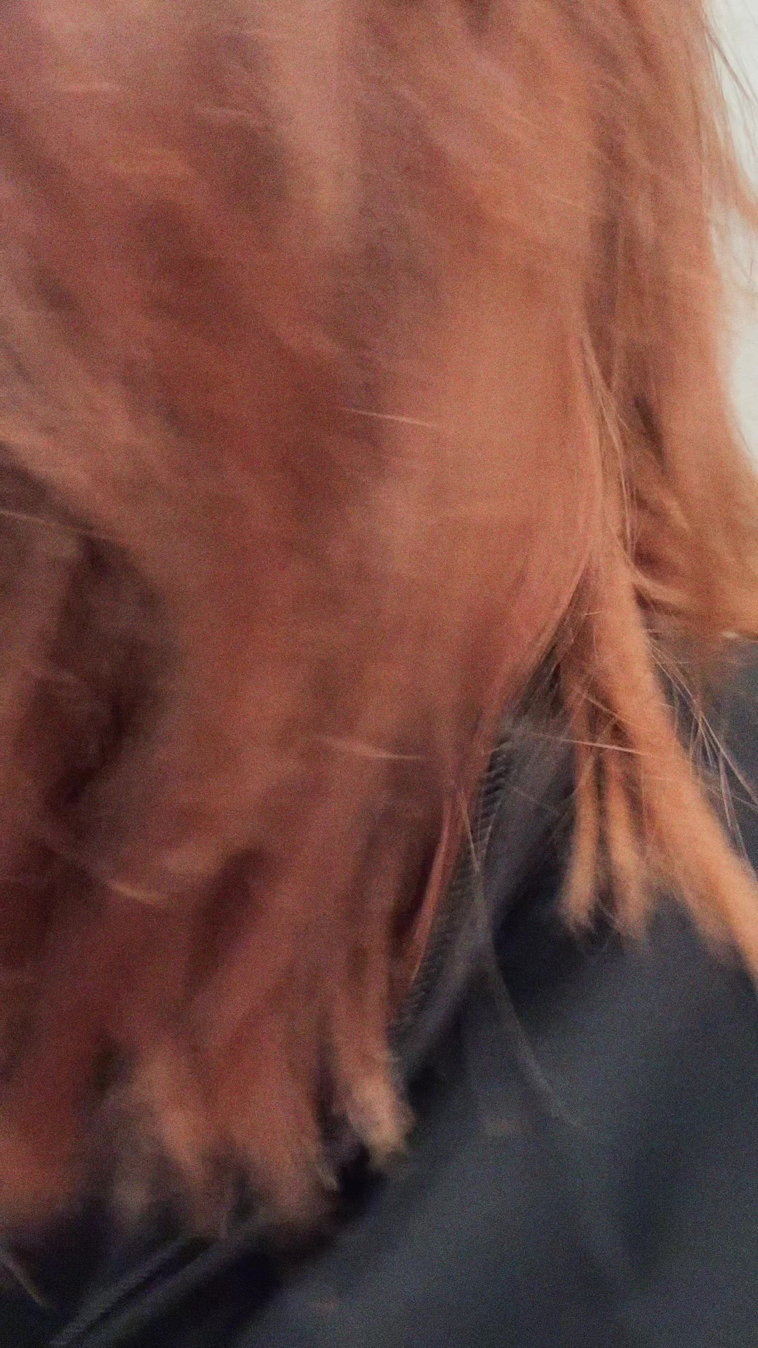 @joleeb223