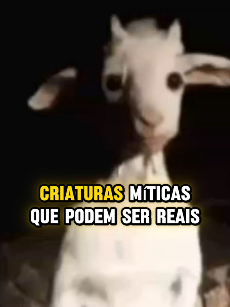 @curiosidadesemistério