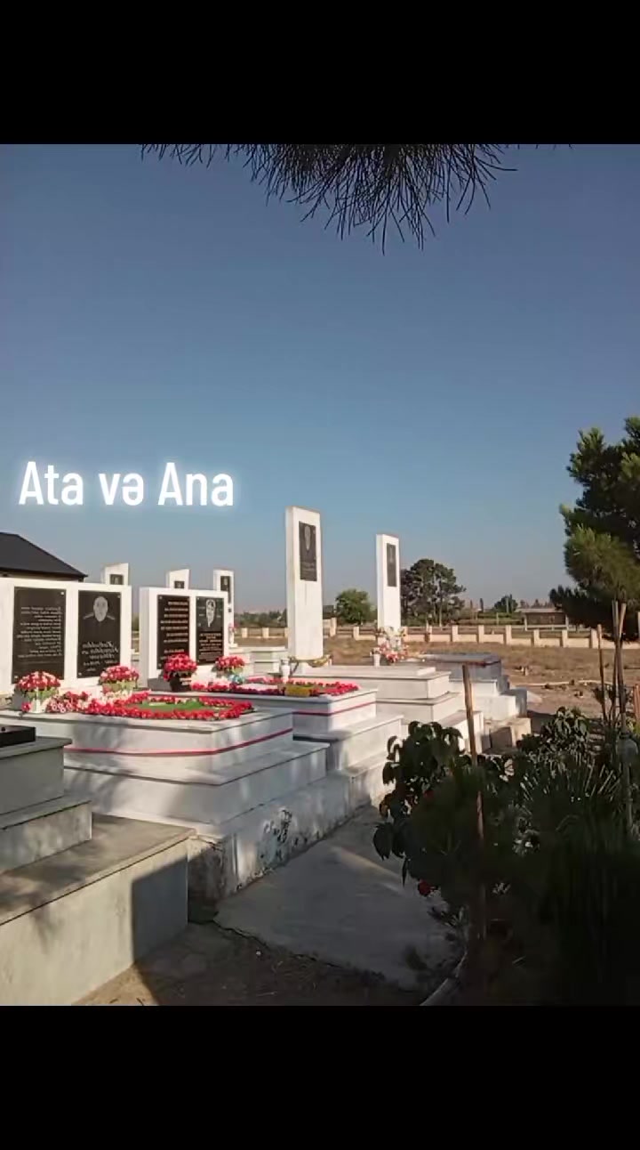 @Goranboy kikboksinq"ZƏFƏR YOLU