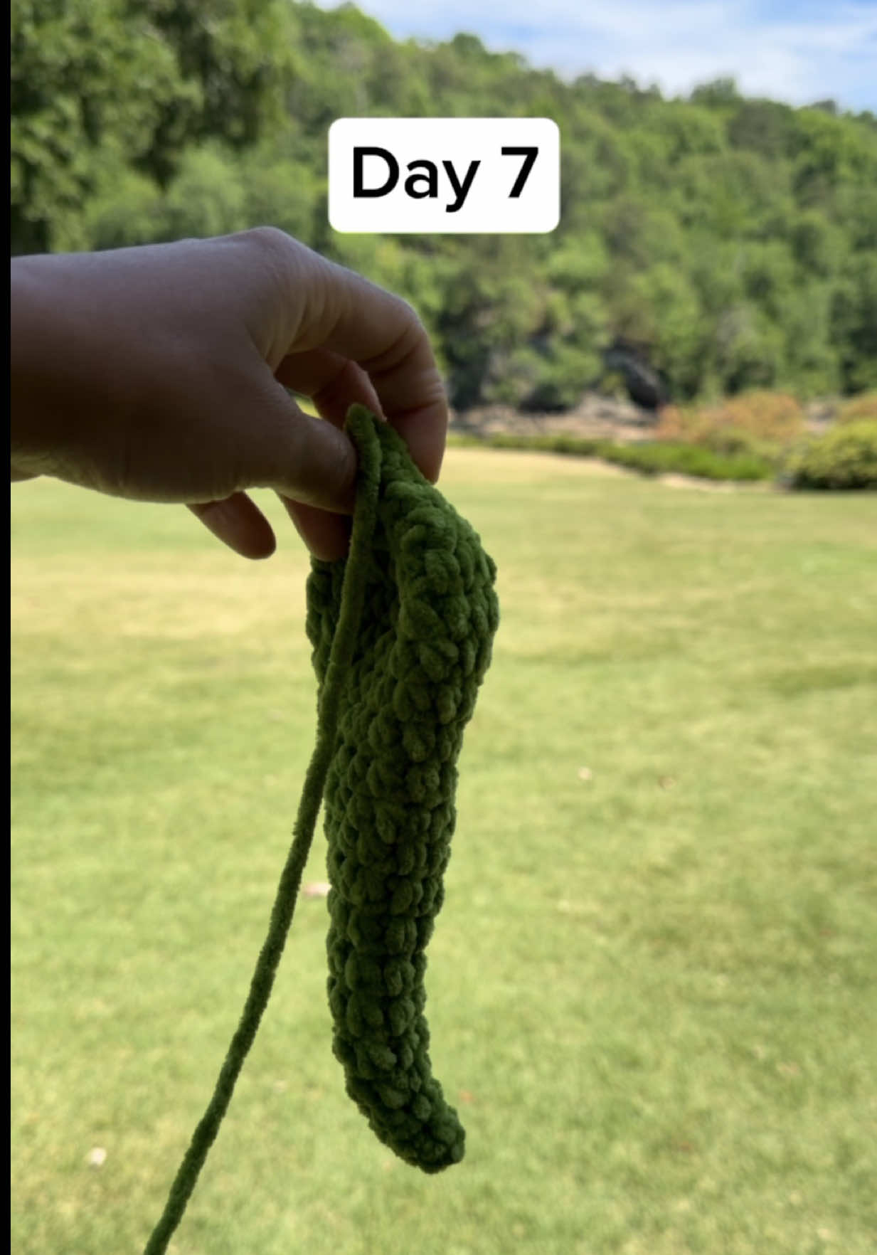 @mesamistoys