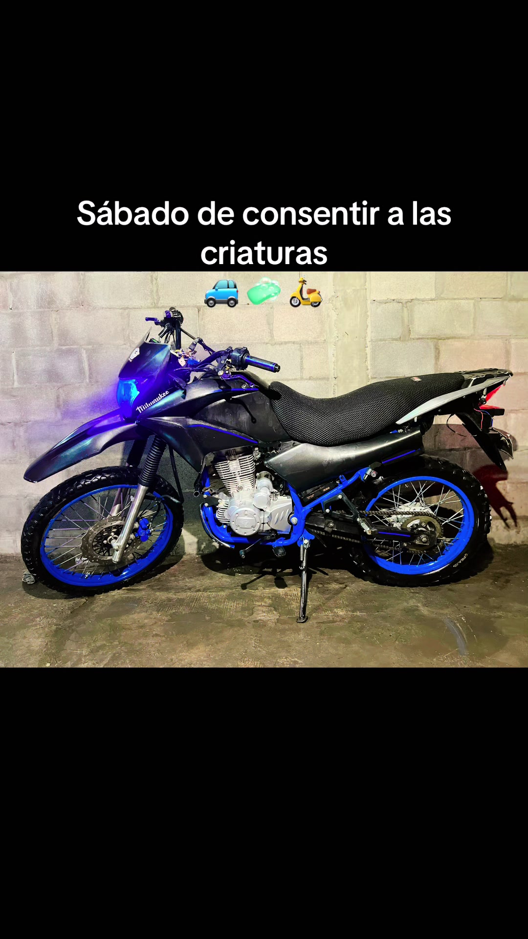 @elagusTinta