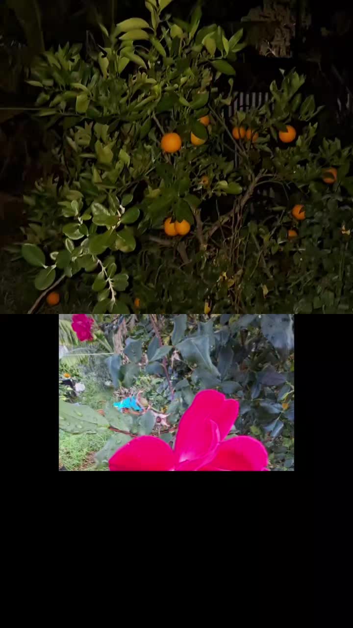 @Uthinkithot_Capcut organic