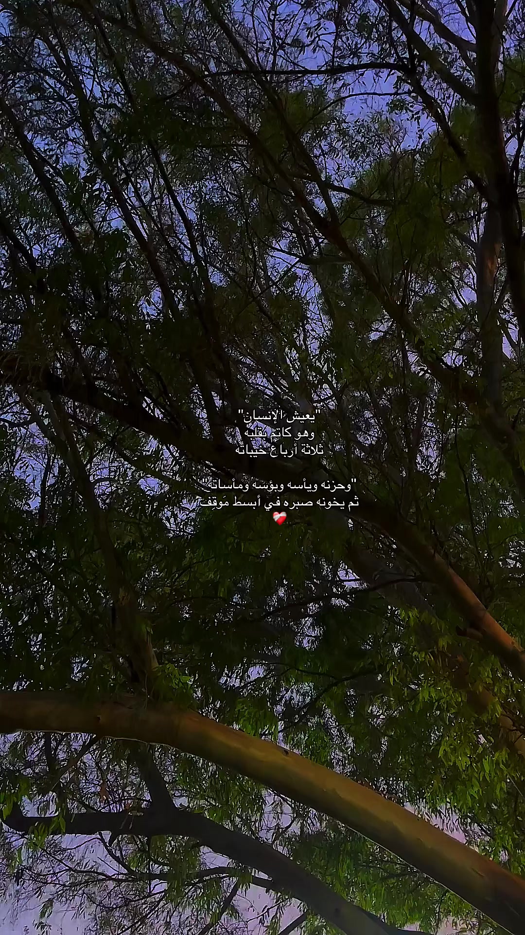 @شَغّفْ🍂🤎