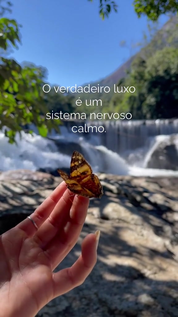@Verônica_heringer