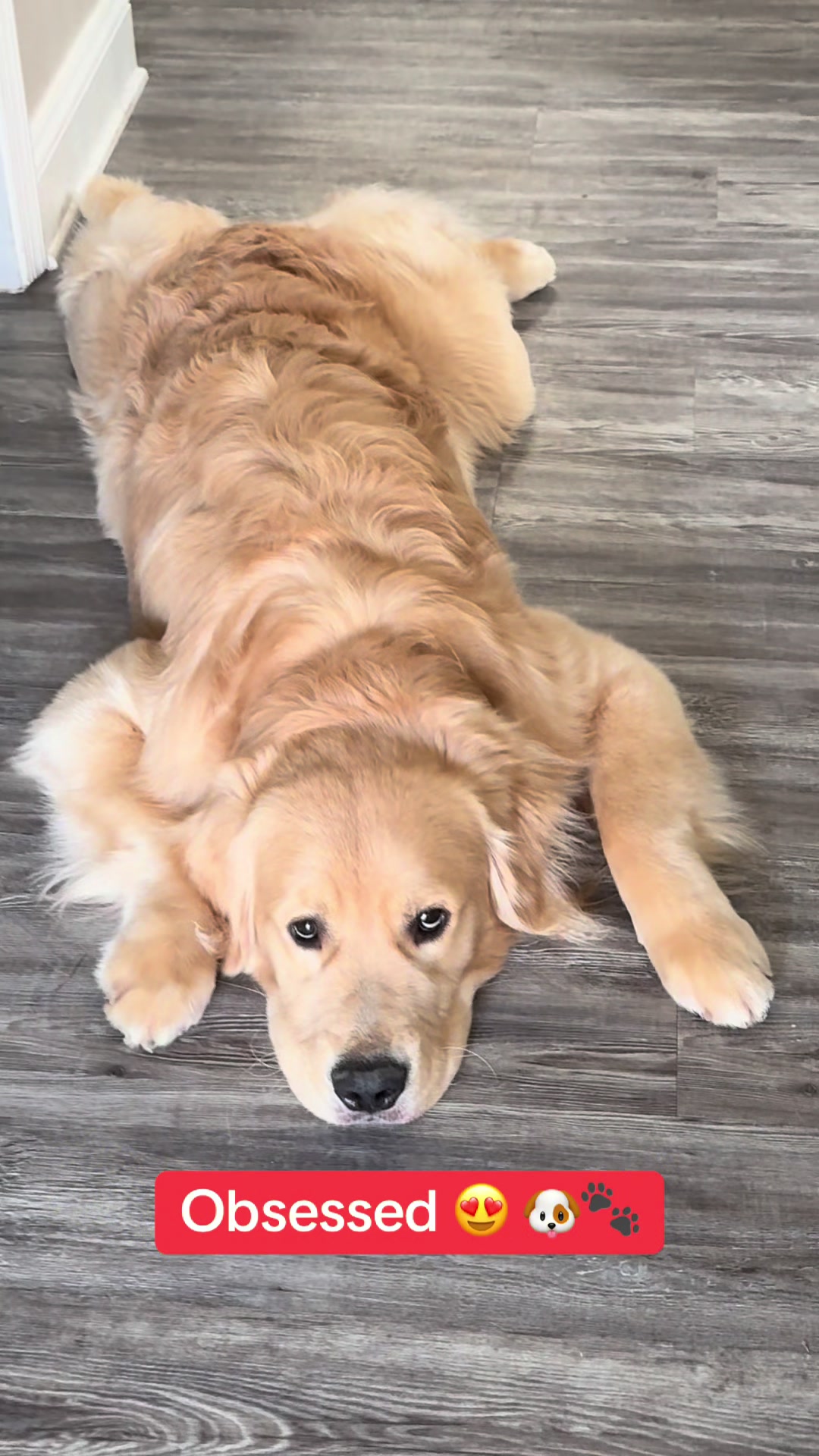 @Tucker_tha_Golden