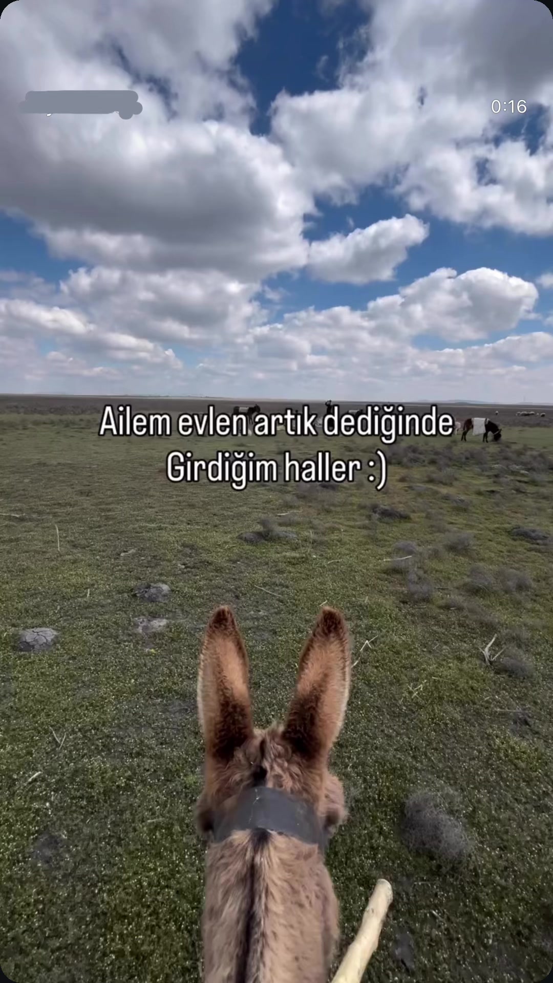 @Oktay Mt