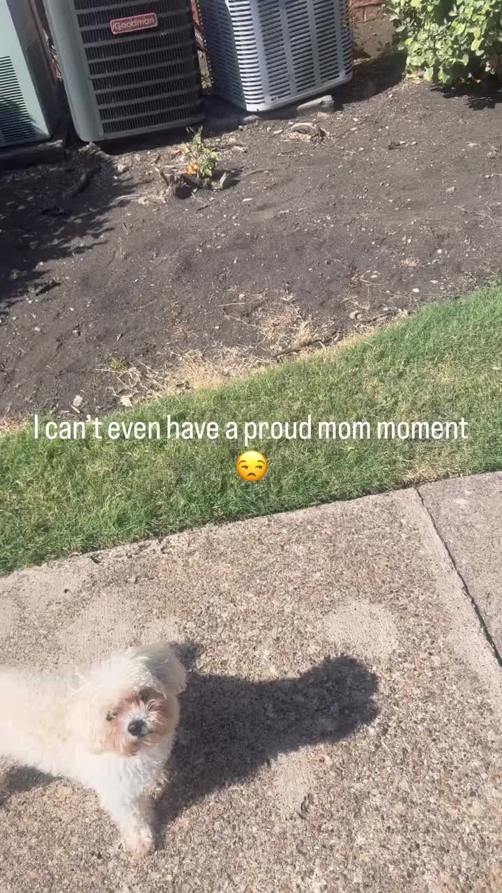 @𝒲𝑜𝒶𝒹𝓎𝓈_𝒲𝑜𝓇𝓁𝒹