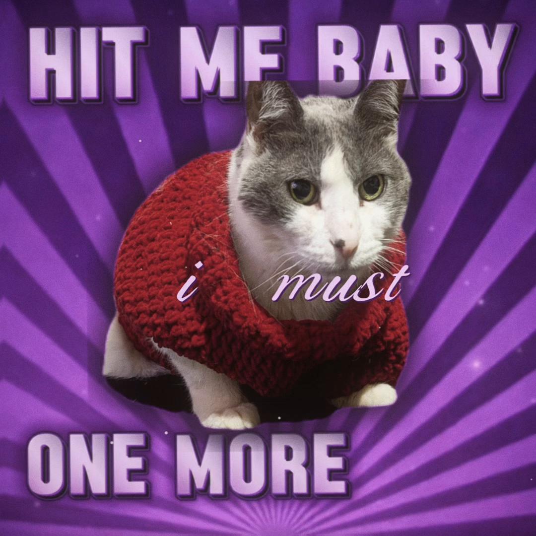 @KT