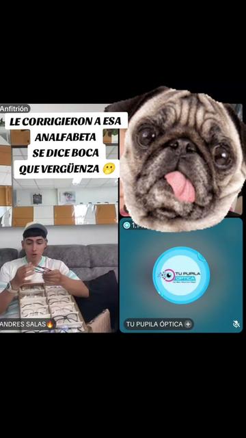 @Mantenida.com 🐟