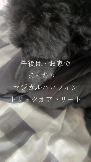 @マジカルな🙄ずんだひろし？？