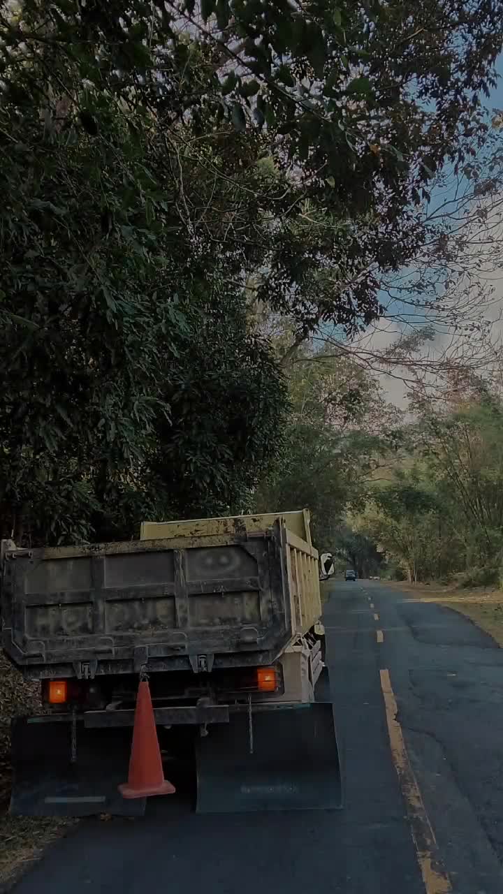 @BELARMINO™