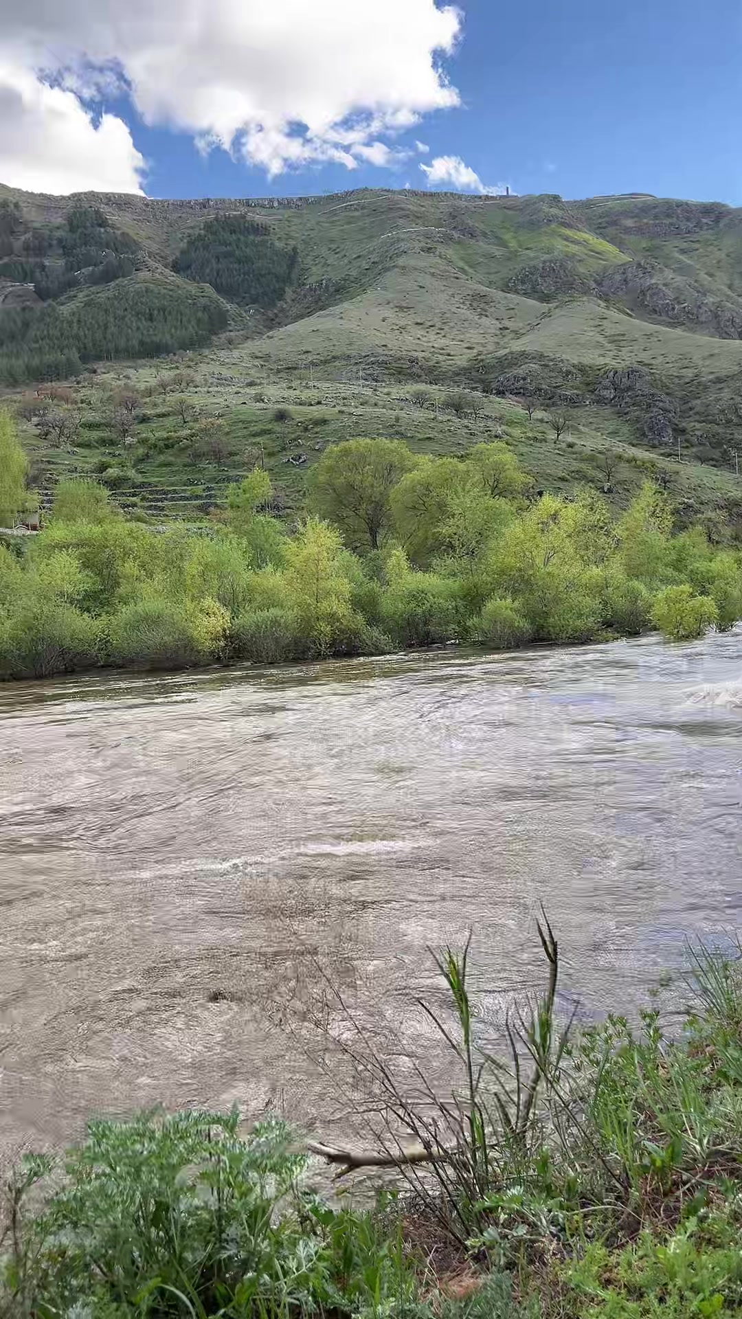 @ქეთი