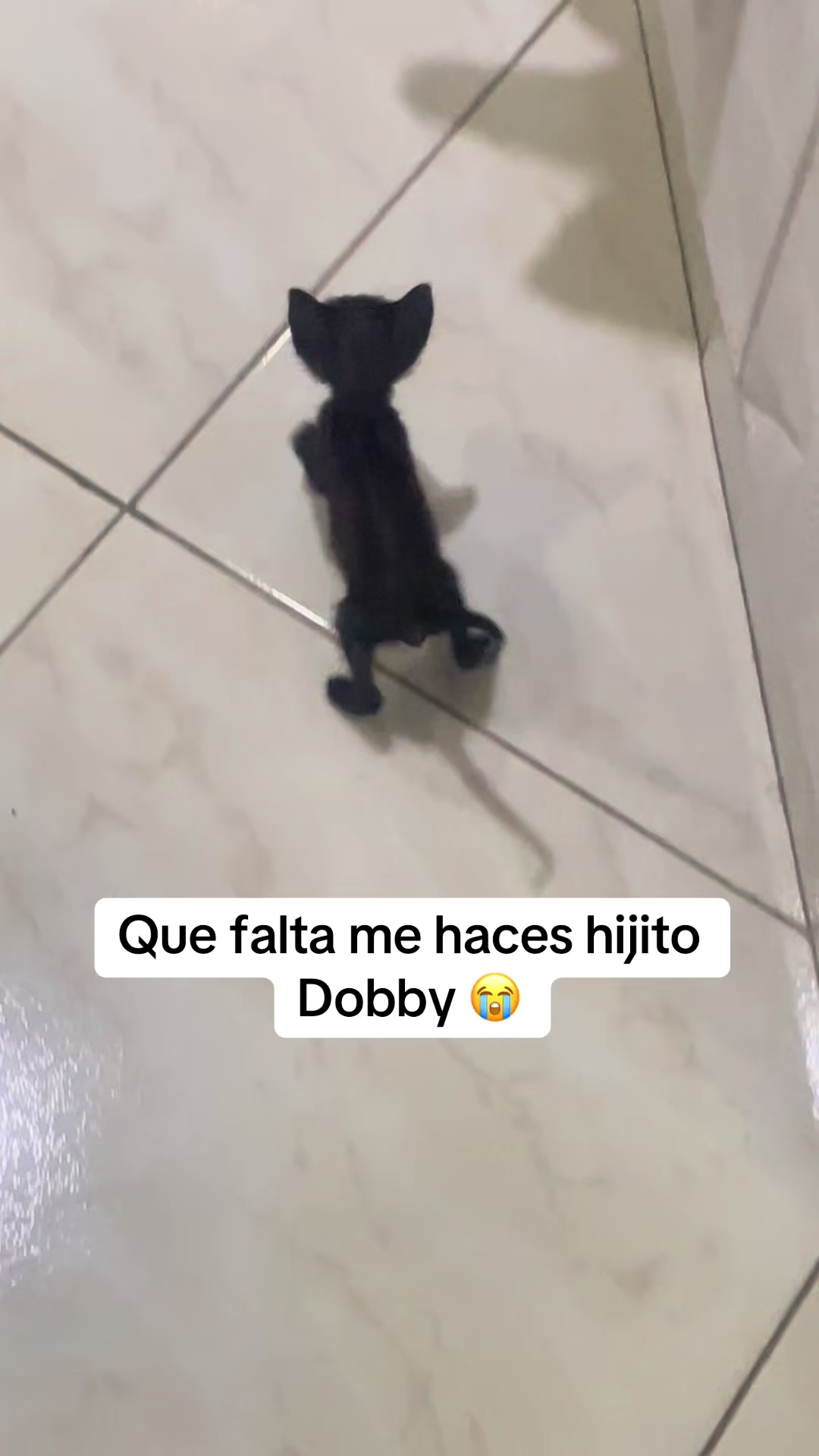 @Manuela Monsalve Vél