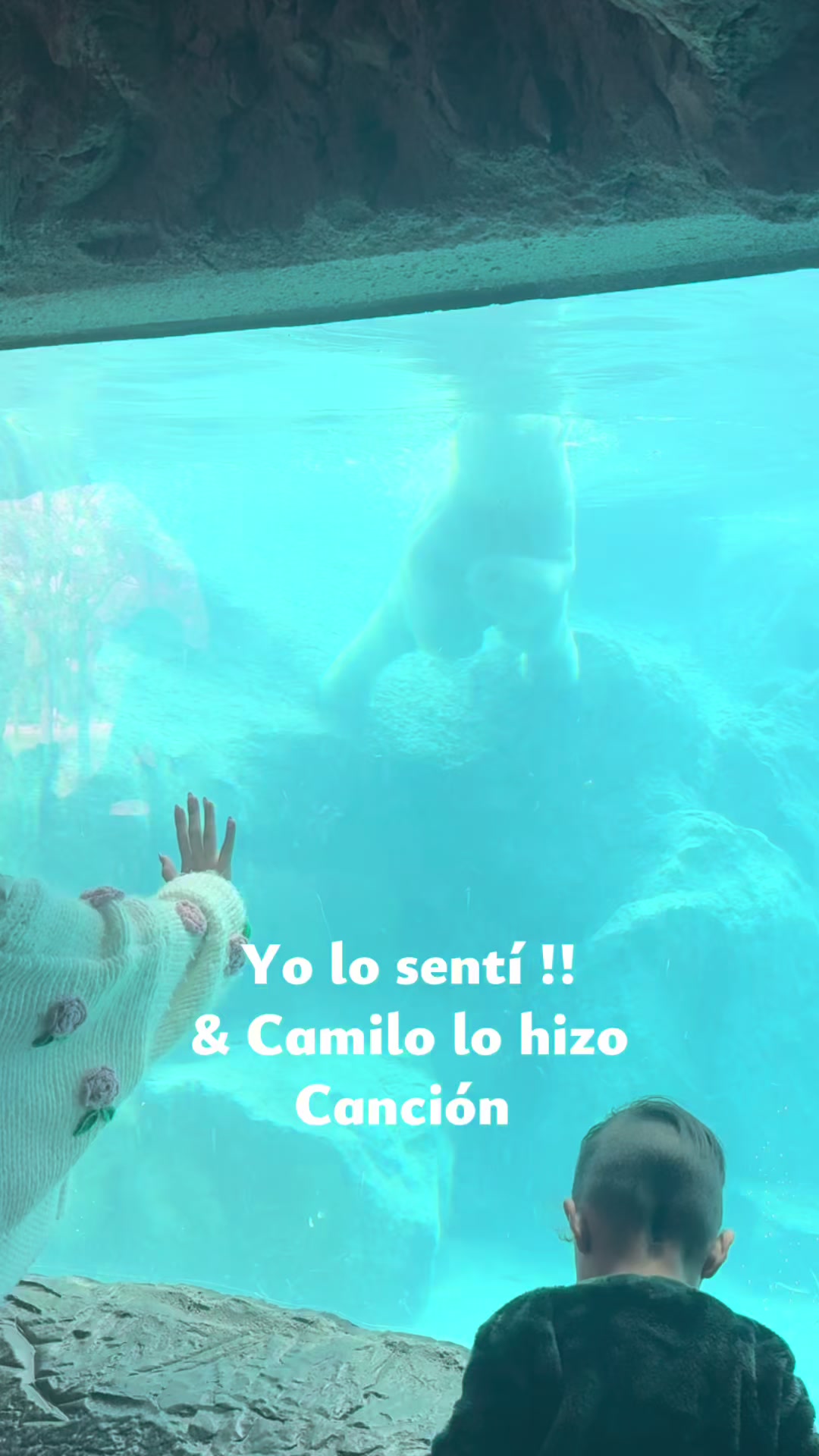 @🏛️🔱🐲 BereAvila🛡️🌵♟️🎧🐺