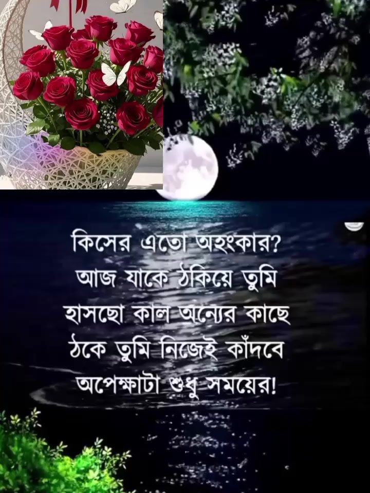 @Lolita Lolit
