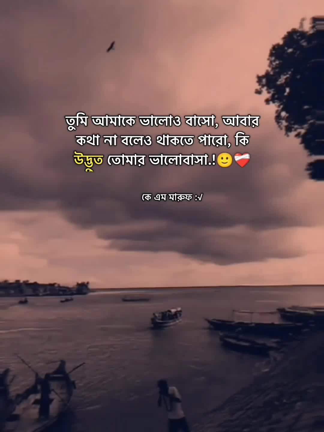 @🌻..কে এম মারুফ..🌻