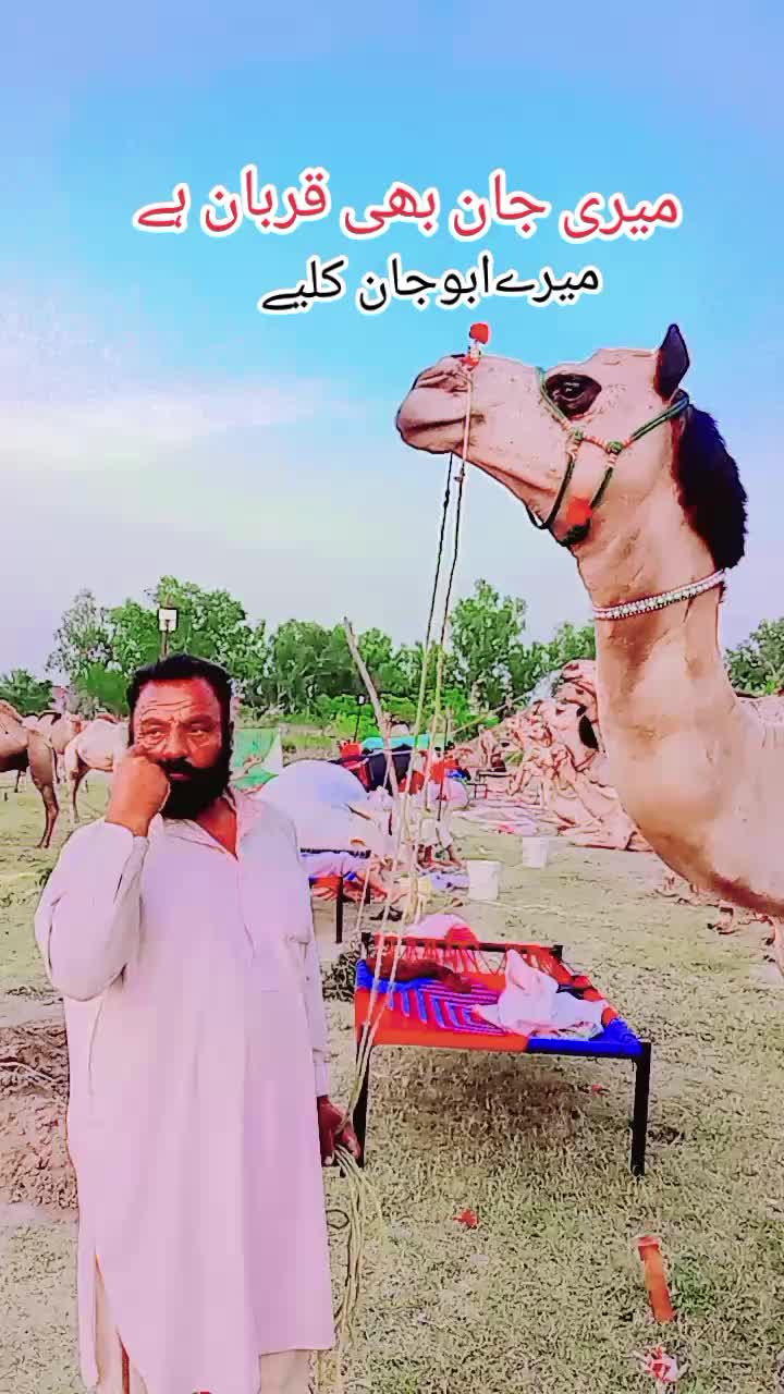 @مٹھو ❣کنگ